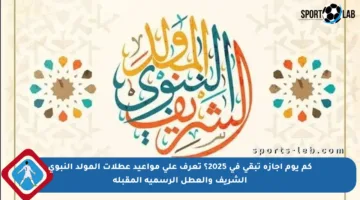 كم يوم إجازة تبقى في 2025؟ تعرف على مواعيد عطلات المولد النبوي الشريف والعطل الرسمية المقبلة